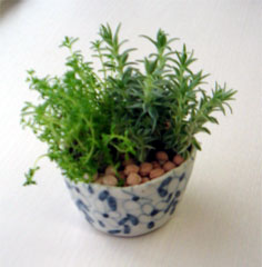 20080414.jpg