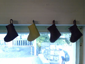 20101107kika1.jpg