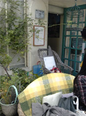 20101107kika5.jpg