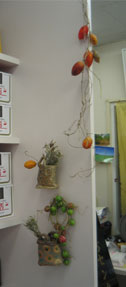 display3.jpg