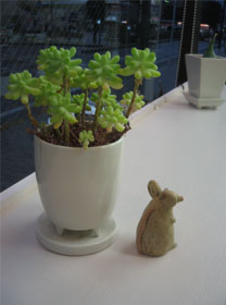 mouse1.jpg